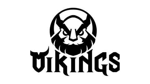 Vikings Gaming tuyển dụng Trưởng phòng Marketing (mảng eSports & Gaming gear)